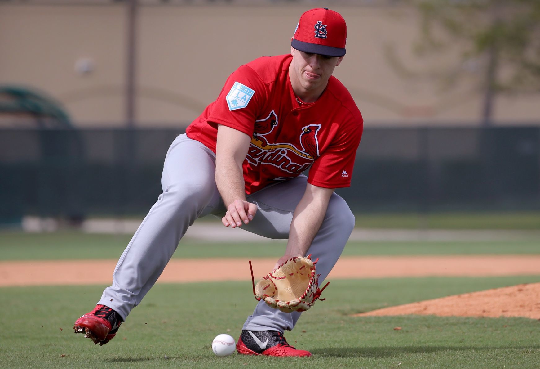 Cardinals spring training continues